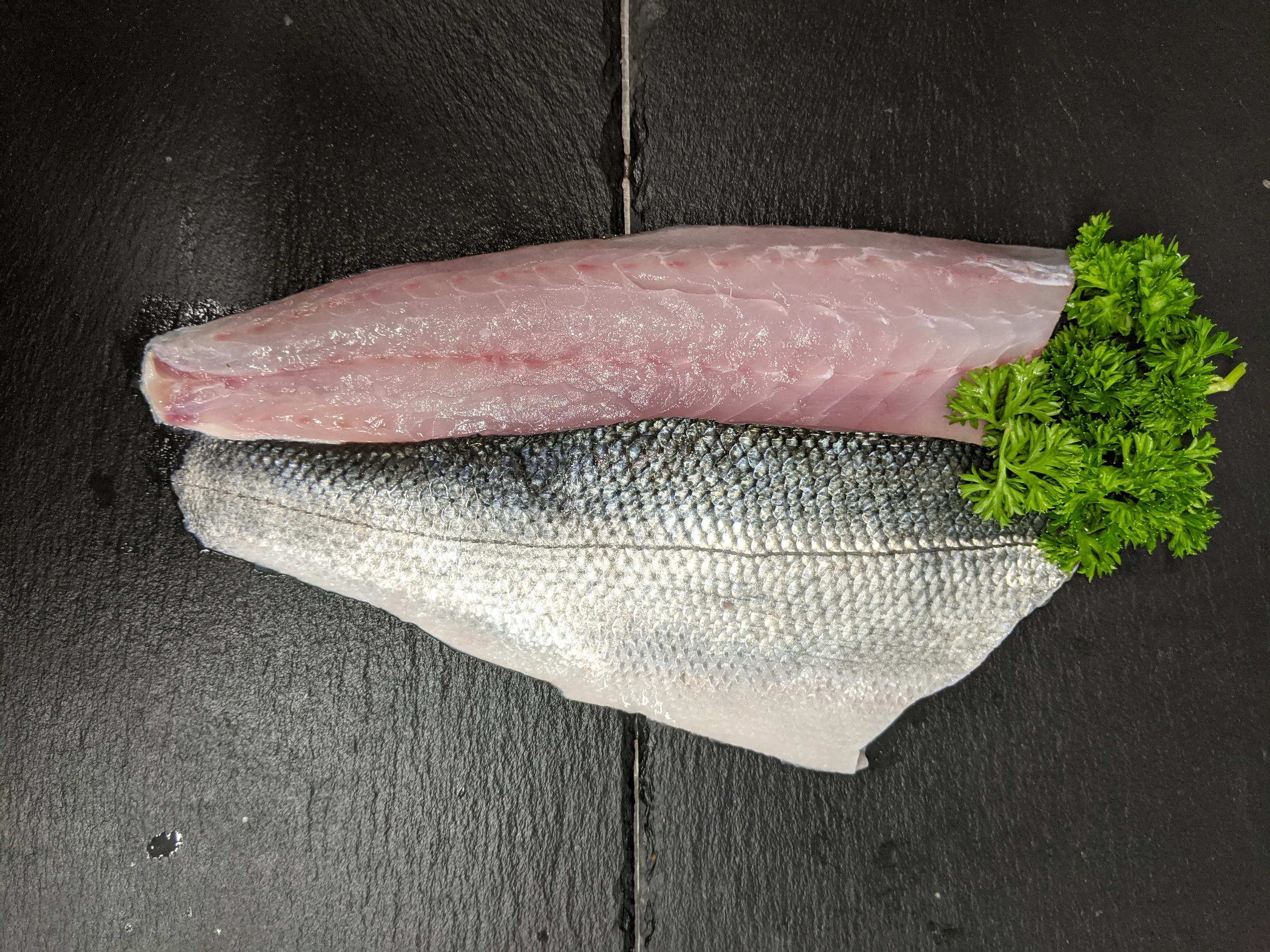 Sea Bass